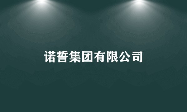 诺誓集团有限公司