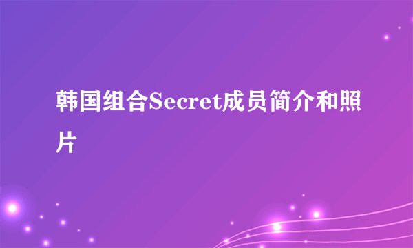 韩国组合Secret成员简介和照片