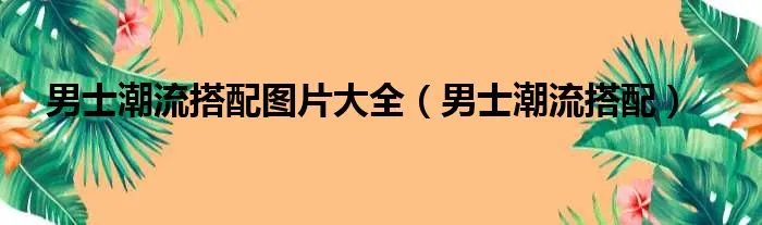 男士潮流搭配图片大全（男士潮流搭配）