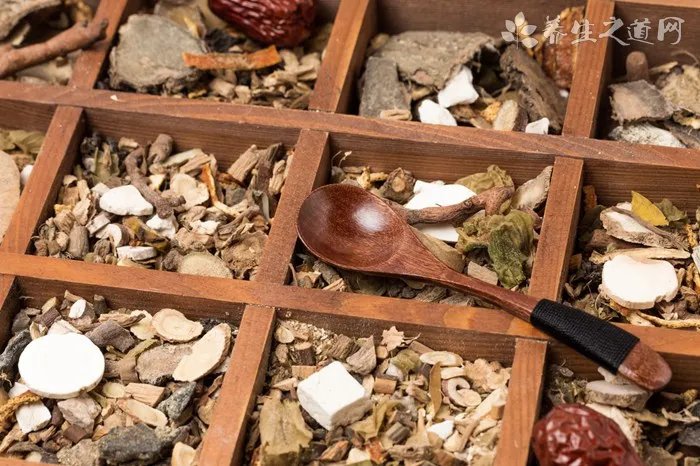 中国昆仑山脉犬的性格特征_护理方法和饲养注意事项【图】