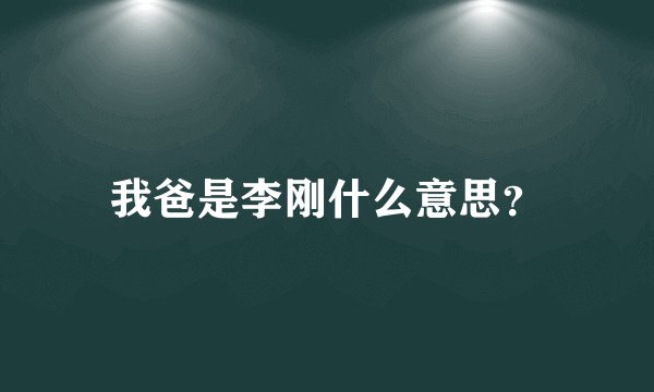 我爸是李刚什么意思？