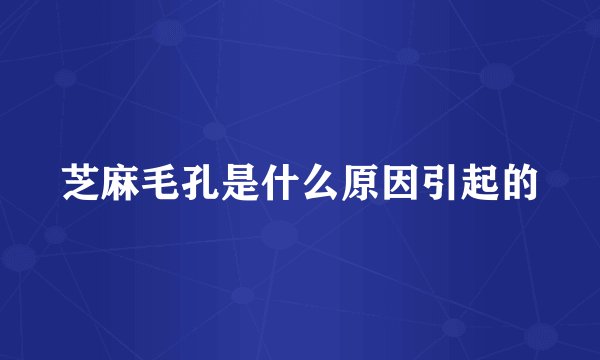 芝麻毛孔是什么原因引起的