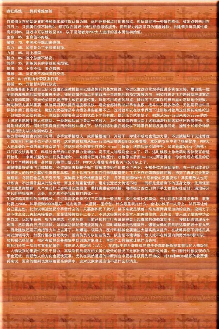 《铁血联盟2之野火》图文攻略