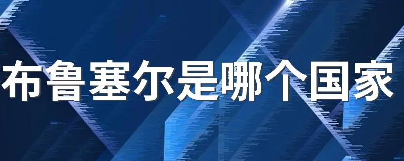 布鲁塞尔是哪个国家 布鲁塞尔的简介