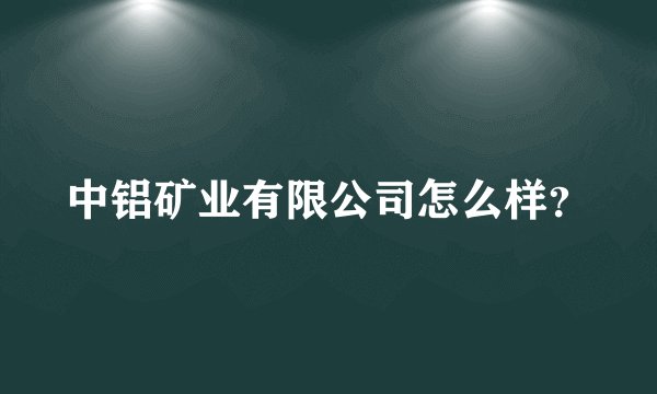 中铝矿业有限公司怎么样?