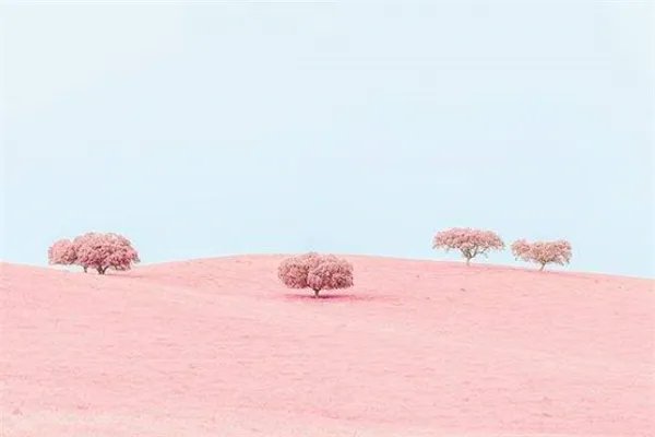 2020抖音网红歌曲排行榜：音乐魔性洗脑，旋律朗朗上口