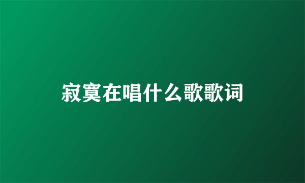 寂寞在唱什么歌歌词
