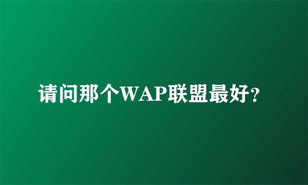 请问那个WAP联盟最好？