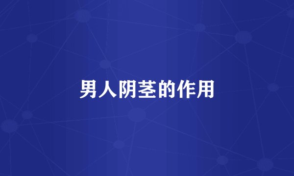 男人阴茎的作用