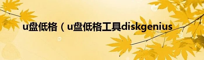 u盘低格(u盘低格工具diskgenius
