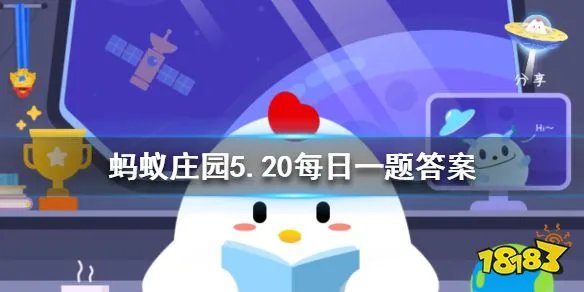 哪种动物喜欢把海藻缠绕在身上枕浪而睡 让我们一起了解一下