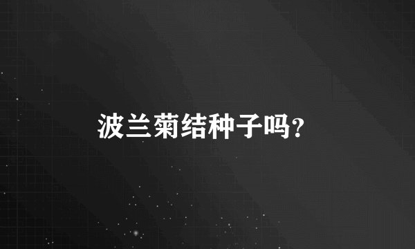 波兰菊结种子吗？