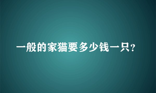 一般的家猫要多少钱一只?