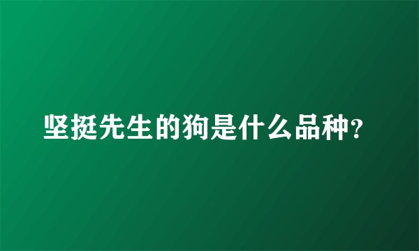 坚挺先生的狗是什么品种？