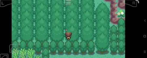 GBA的金手指怎么用?请详细点