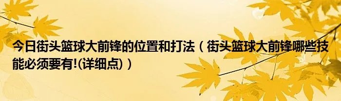 今日街头篮球大前锋的位置和打法（街头篮球大前锋哪些技能必须要有!(详细点)）