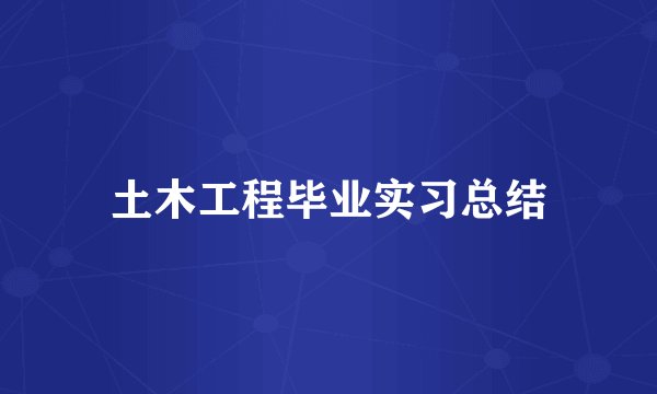 土木工程毕业实习总结