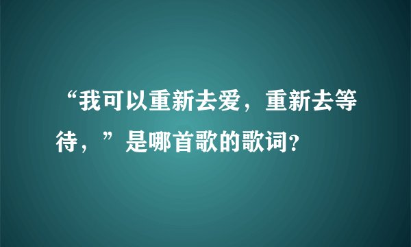 “我可以重新去爱，重新去等待，”是哪首歌的歌词？