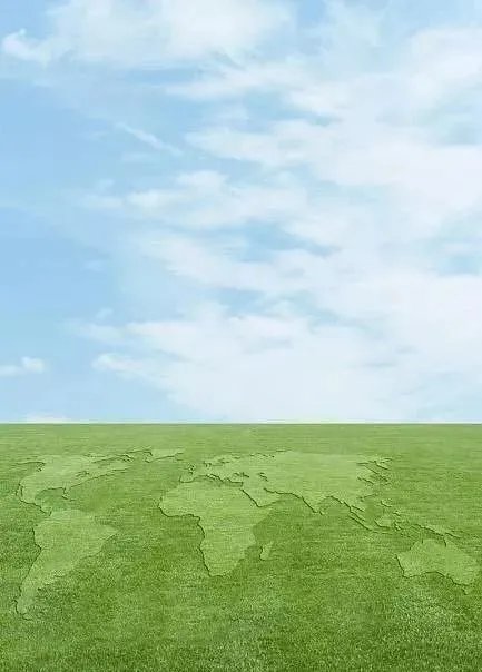 环保督察“回头看”发现什么问题？