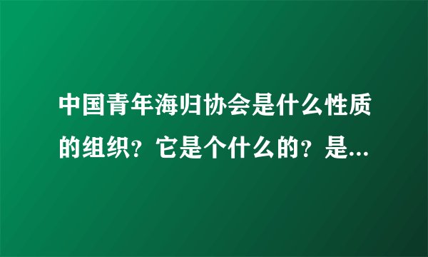 中国青年海归协会是什么性质的组织？它是个什么的？是否是平台组织？
