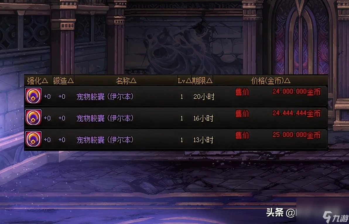 DNF宠物撒共怎么获取 能进化的老宠物介绍