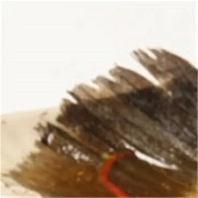 吃什么丰胸的最快方法						