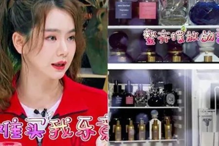 戚薇冰箱放香水 网友直呼太豪气了