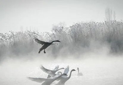 上联:短歌谁和，风动梨花朵。下联怎么对？