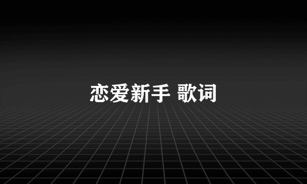 恋爱新手 歌词