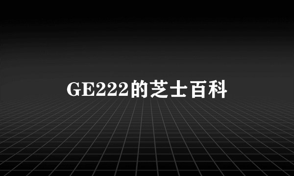 GE222的芝士百科