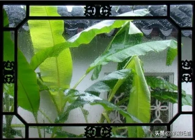 上联:短歌谁和，风动梨花朵。下联怎么对？