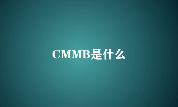 CMMB是什么