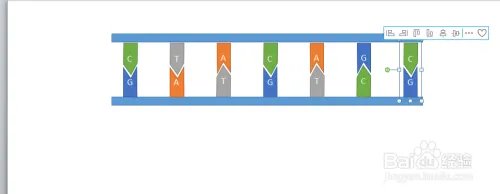 如何用ppt画出简单的DNA分子双链模型——基础篇