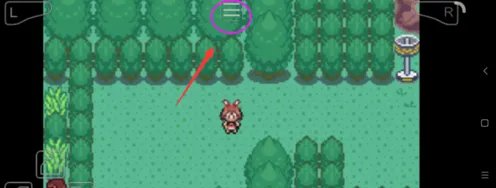 GBA的金手指怎么用?请详细点