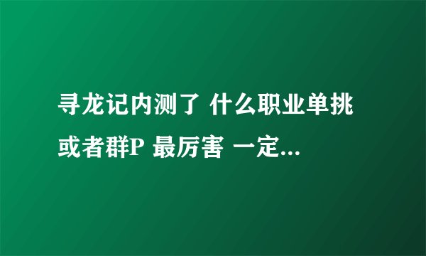 寻龙记内测了 什么职业单挑 或者群P 最厉害 一定来个给力玩家回复