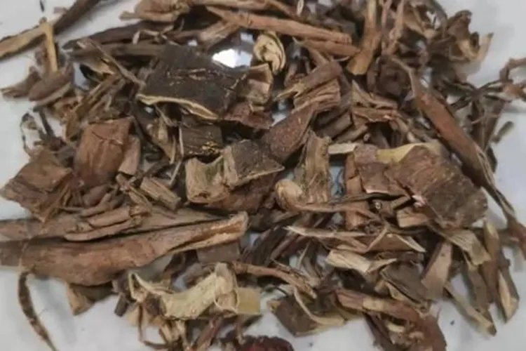 强盗药三百棒图片