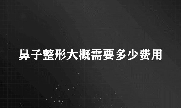 鼻子整形大概需要多少费用