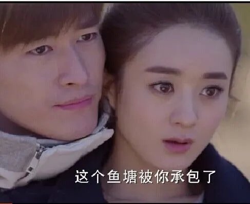 鱼塘体的恶搞原因