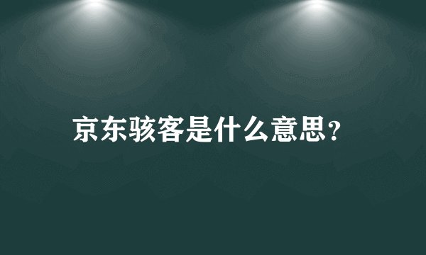 京东骇客是什么意思？