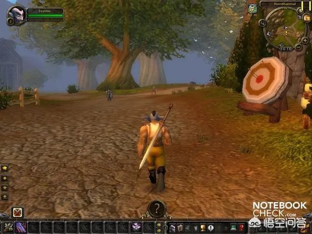 怎样评价魔兽世界私服？