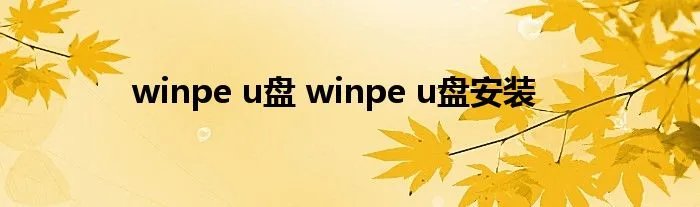 winpe u盘 winpe u盘安装