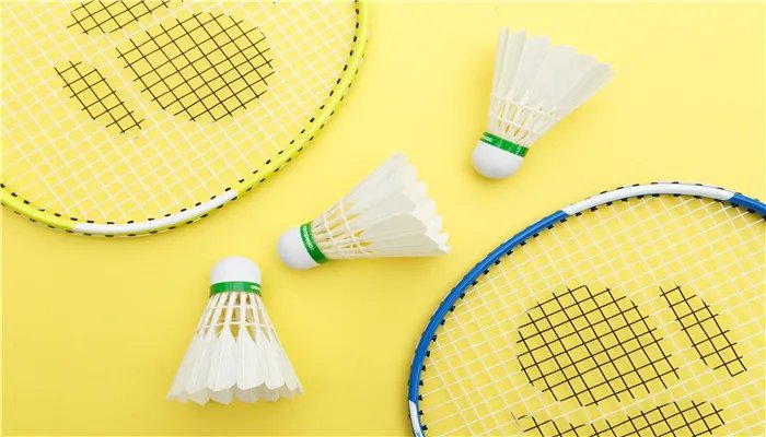 一只羽毛球上通常会有几根羽毛 一个羽毛球上一般有几根羽毛