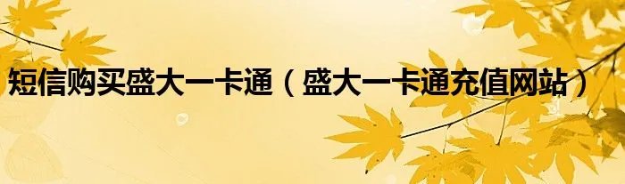 短信购买盛大一卡通（盛大一卡通充值网站）