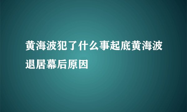 黄海波犯了什么事起底黄海波退居幕后原因