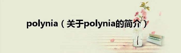 polynia（关于polynia的简介）