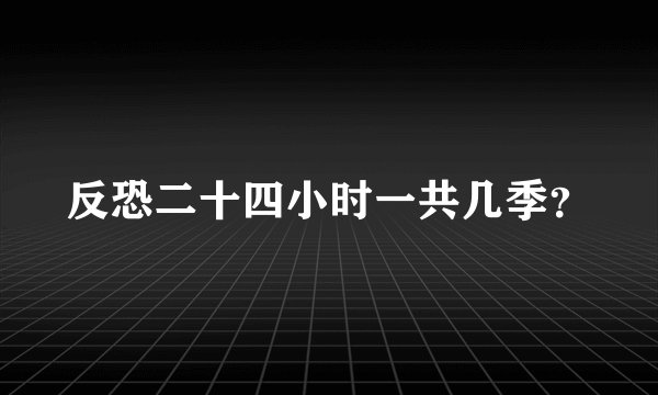 反恐二十四小时一共几季？