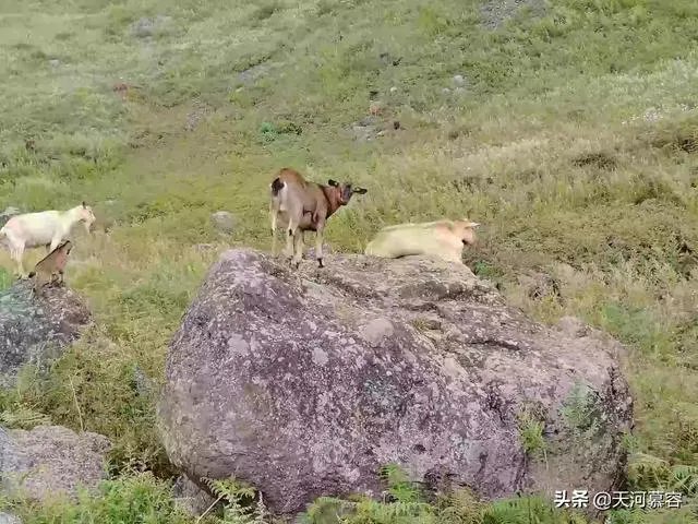 在遵义你觉得累吗？