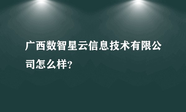 广西数智星云信息技术有限公司怎么样？