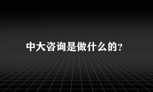 中大咨询是做什么的？