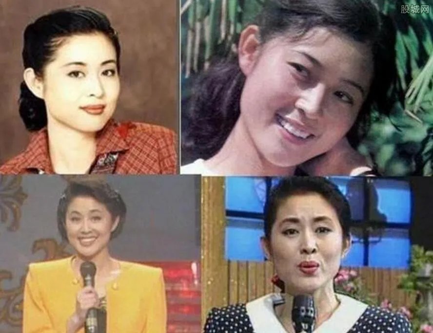 倪萍和赵忠祥的丑闻 事情的真相到底是怎样